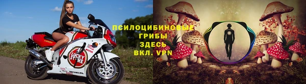 MESCALINE Бородино